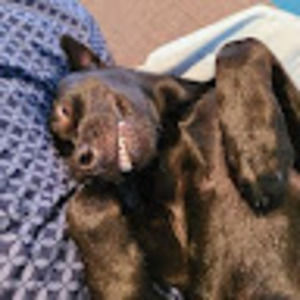 Meet your Posher, Brooke-lynn